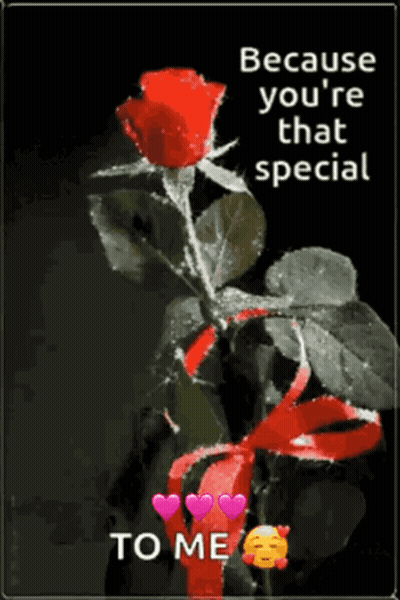 You're That Special To Me With Rose Hearts GIF
