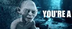 You're Thief Gollum LOTR GIF