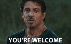 You're Welcome Sylvester Stallone GIF