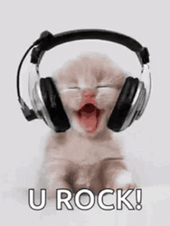 You Rock Cute Cat GIF