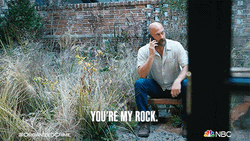 You Rock Meme Christopher Meloni GIF