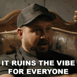 You Ruined The Vibe Of It GIF