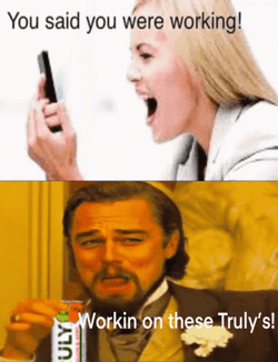 You Said You Were Working Meme Drunk GIF