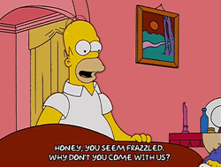 You Seem Frazzled Homer Marge The Simpsons GIF