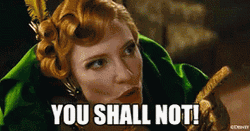 You Shall Not Pass Cate Blanchett GIF
