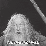 You Shall Not Pass Gandalf Black And White GIF