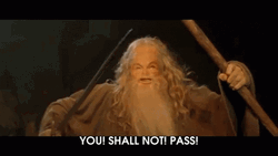 You Shall Not Pass Gandalf Funny Face Swap GIF