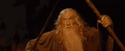 You Shall Not Pass Gandalf LOTR GIF