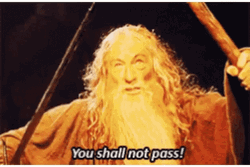 You Shall Not Pass Gandalf Mafia Brothers Meme GIF