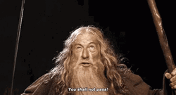 You Shall Not Pass Gandalf Releasing Power GIF