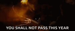 You Shall Not Pass This Year Gandalf Meme GIF