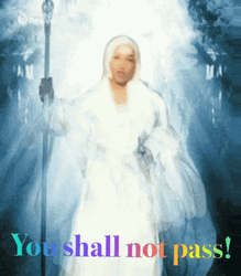 You Shall Not Pass White Witch Meme GIF