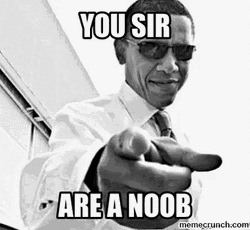 You Sir Are A Noob GIF