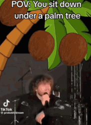 You Sit Down Under A Coconut Tree GIF