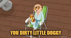 You Soiled It Little Doggy GIF