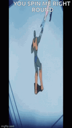 You Spin Me Right Round Mujigen Hunter Fandora GIF