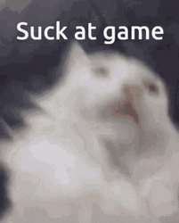 You Suck At Game White Cat GIF