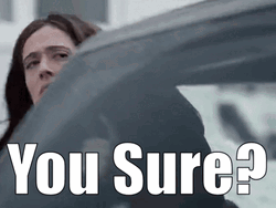 You Sure Lady In Car GIF