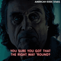 You Sure You Got That Ian McShane GIF