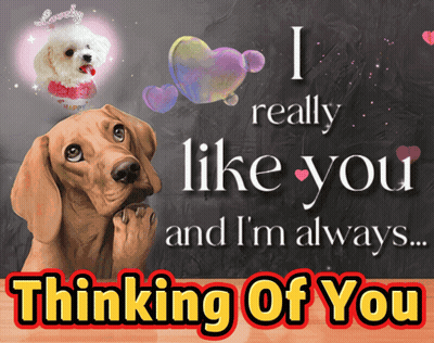 You Think So GIF