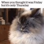 You Thought Its Friday Funny Thursday Meme GIF