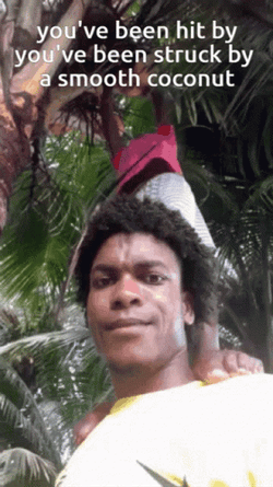 You've Been Hit By Coconut Tree GIF