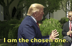 You Were The Chosen One Donald Trump GIF