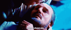 You Were The Chosen One Qui Gon Jinn GIF
