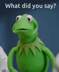 You What Kermit The Frog GIF
