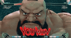 You Win Street Fighter Zangief GIF