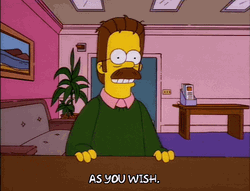 You Wish Arresting Ned Flanders GIF
