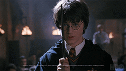 You Wish Harry Potter GIF