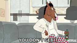 You Wouldn't Get It  Bojack Horseman GIF