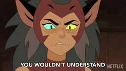 You Wouldn't Get It Catra GIF