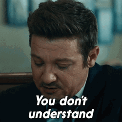 You Wouldn't Get It Jeremy Renner GIF