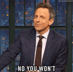 You Wouldn't Get It Seth Meyers GIF