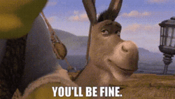 Youll Be Fine Donkey GIF