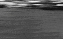 Young Boy Drive Fast Black And White GIF