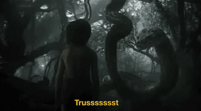Young Boy In Jungle Surrounded By Snake GIF