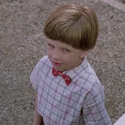 Young Boy In Plaid Shirt And Bow Tie GIF