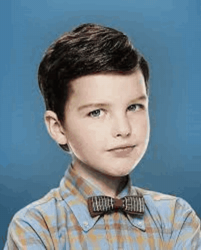 Young Boy In Plaid Shirt And Bow Tie GIF