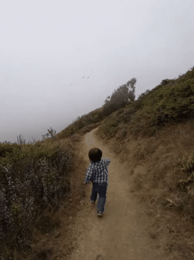 Young Boy In Plaid Shirt Running Down Path GIF