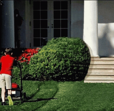 Young Boy Pushing Lawn Mower On Green Lawn GIF