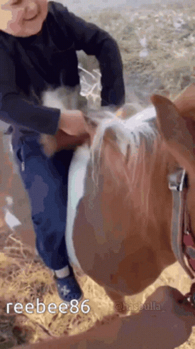 Young Boy Riding Brown And White Horse GIF