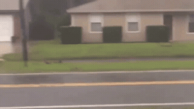 Young Boy Walking With American Flag In Rain GIF