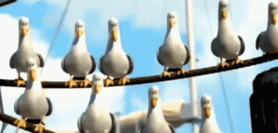 Young Boy Wearing Always Alwayys Shirt GIF