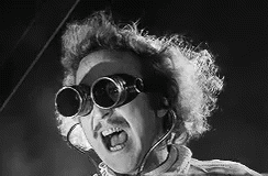 Young Frankenstein Gene Wilder On Googles GIF