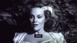 Young Frankenstein Madeline Kahn Woof GIF
