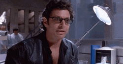 Young Jeff Goldblum Well There It Is GIF