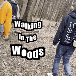 Young Kids Go Hiking In Woods GIF